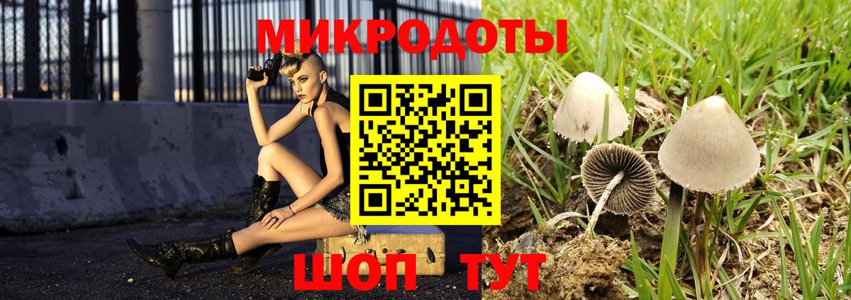 наркошоп  Вход с VPN  Йошкар-Ола  Псилоцибиновые грибы MAGIC MUSHROOMS 